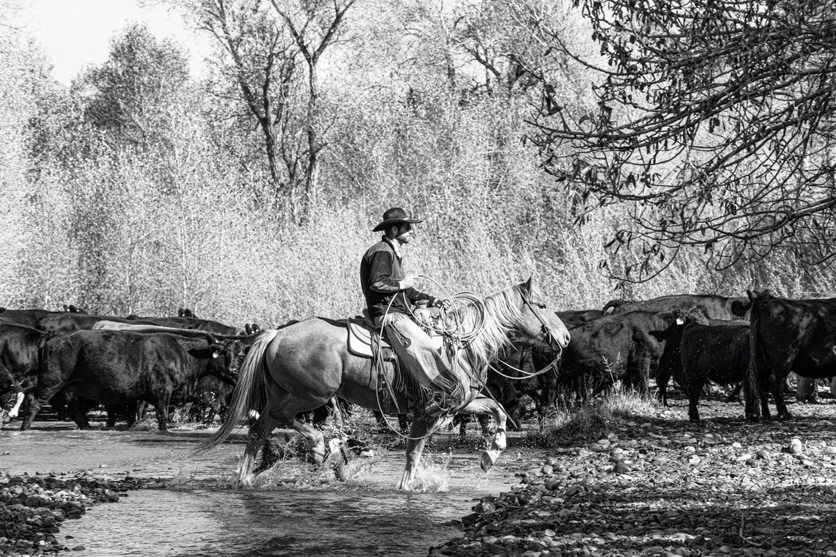 A Ranch Year Coffee Table Book
