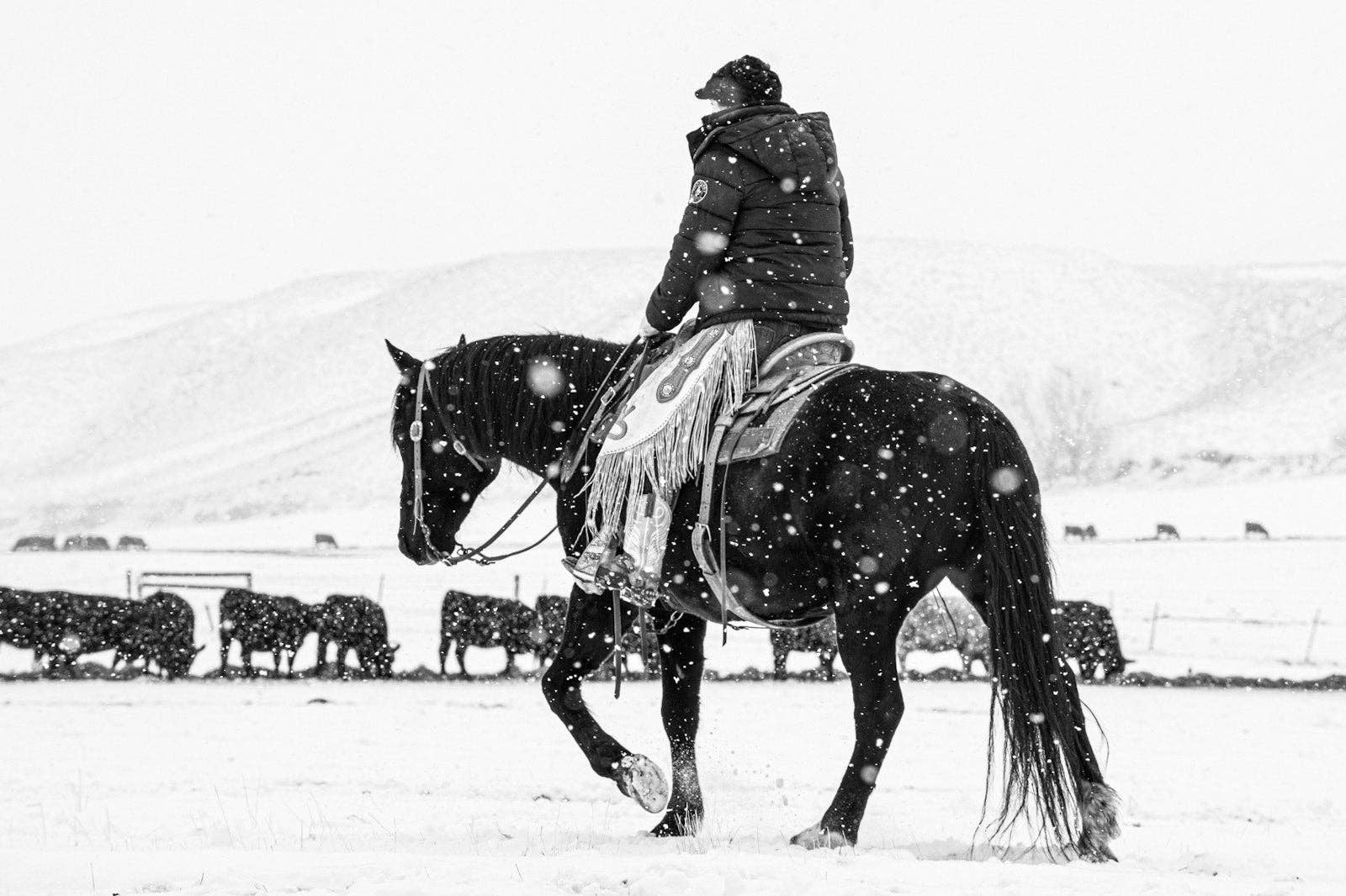 A Ranch Year Coffee Table Book