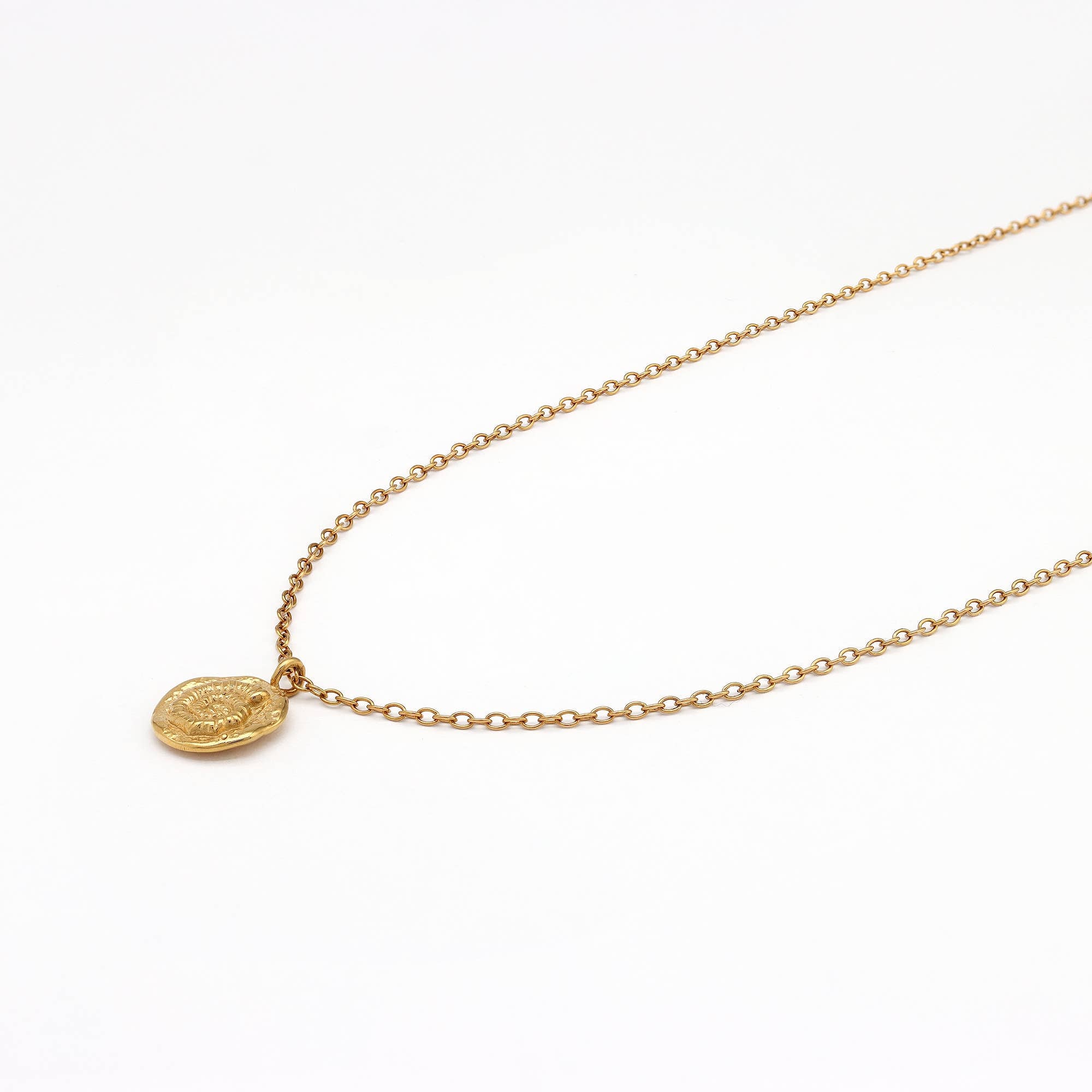Ammonite Charm Waterproof Necklace