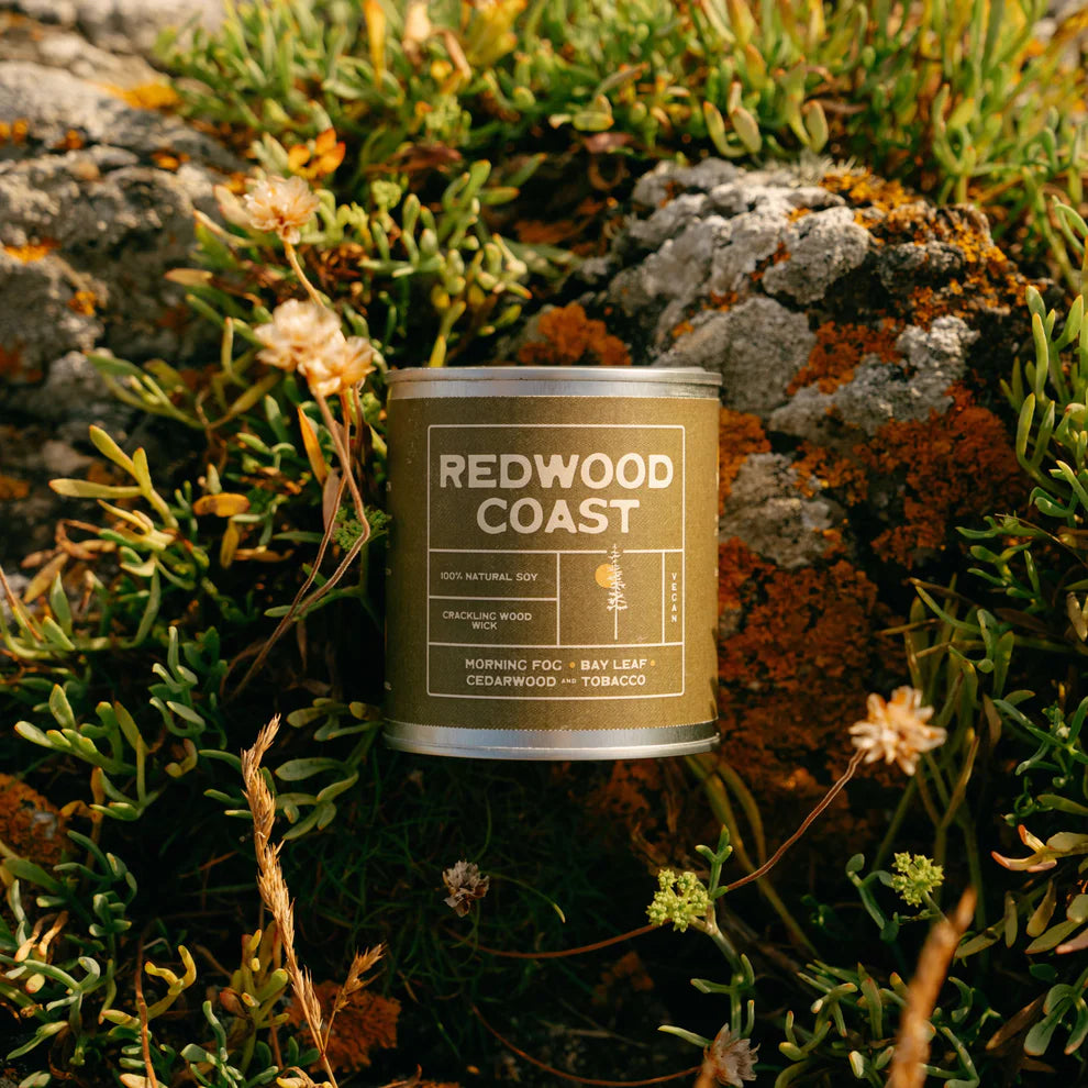 Redwood Coast
