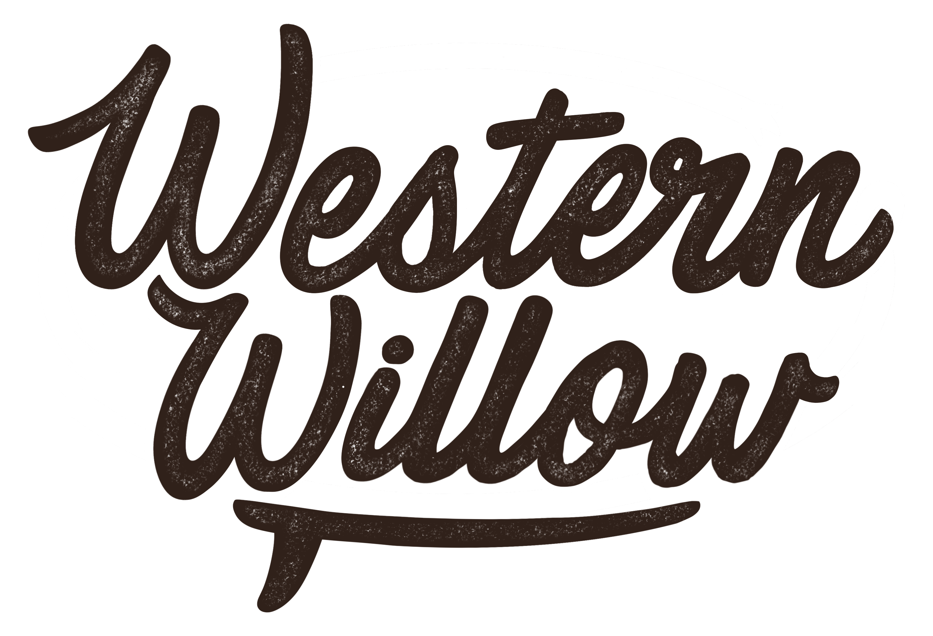 Western Willow