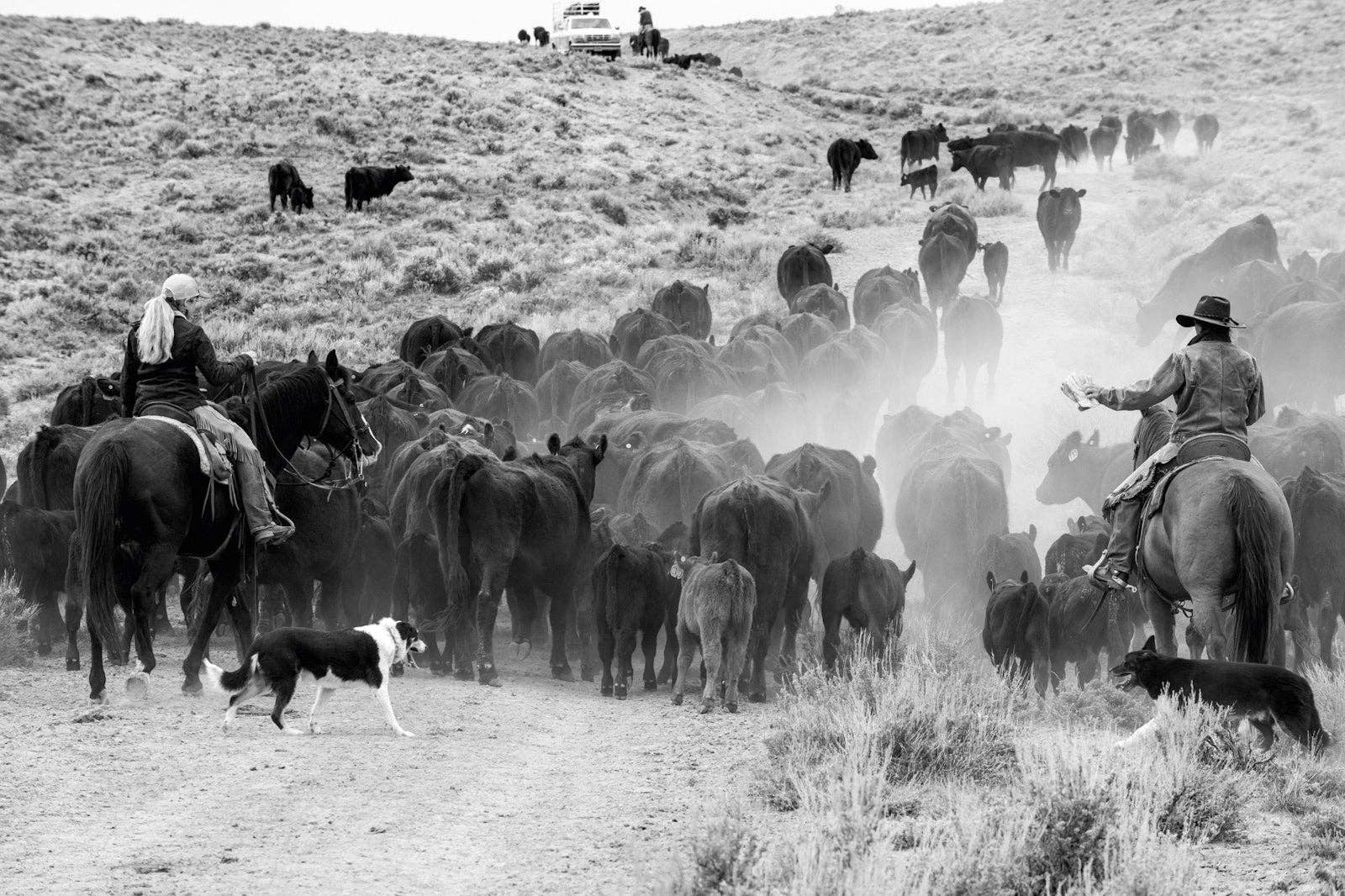 A Ranch Year Coffee Table Book