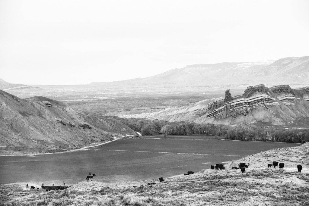 A Ranch Year Coffee Table Book