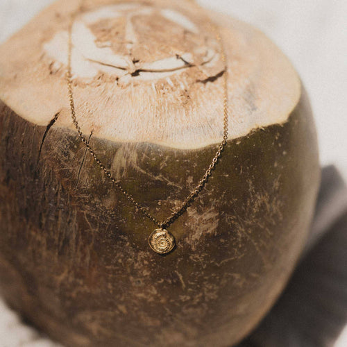 Ammonite Charm Waterproof Necklace